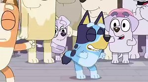 Who's got the best dance moves in your home? 🎶🕺💙 #DanceMode | Bluey