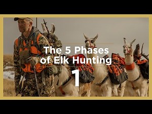 EARLY SEASON | The 5 Phases of Elk Hunting