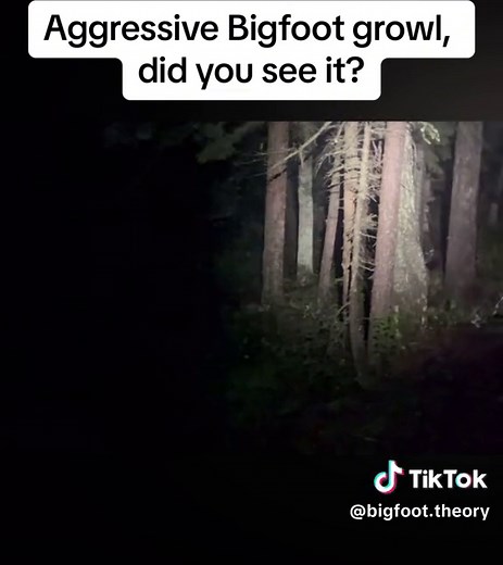 Agressive bigfoot growl recorded. Were you able to see it at all? #bigfoot #sasquach #bigfoottheory #cryptid #scary #fyp