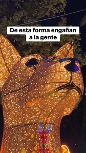 Puro control de masas 😵‍💫 #CDMX #popupevent #spanish | TV Noticias Tlapacoyan