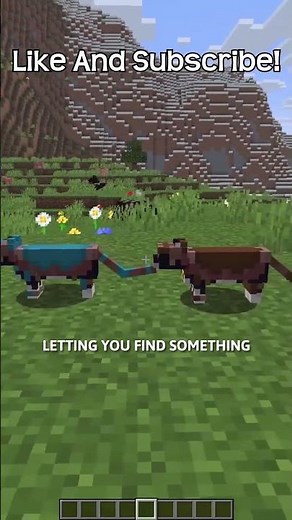 This Mod Will Let You Change The Color Of Cat Armor In Minecraft!