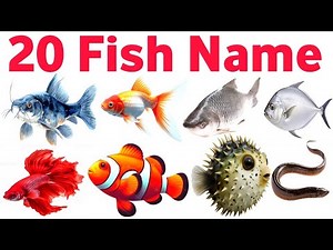 “Top 20 Sea Fish Names with Pictures | Amazing Sea Creatures You Must Know 🐠🌊”