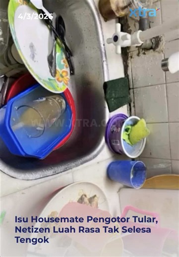 Rumah Tunggal: Masalah Housemate Paling Pengotor