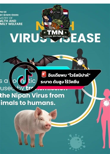 อินเดียพบไวรัสนิปาห์ระบาด ดับสูง ไร้วัคซีน