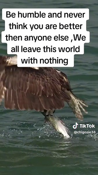 Be Humble: Quotes to Remind You of the Importance of Humility