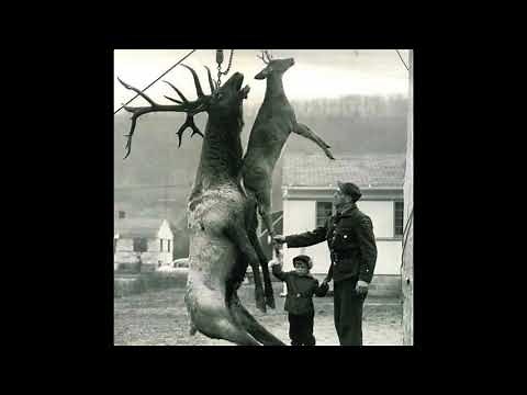 64 Vintage hunting photos that show life in another era