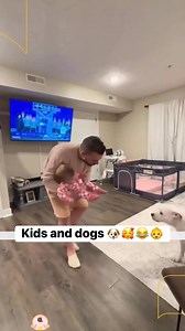 Dogs 🐕 #dog #funnyvideos #puppylove #funny #puppy #pets | Paris City of Love