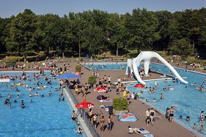 Nagetiere im Baldeneysee in Essen