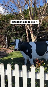 utterly crazy | Southern Sketch Comedy