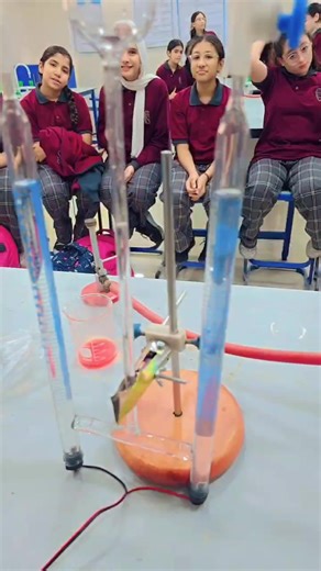 5.1K views · 77 reactions | Science lab session 7C | Talaea Modern Language School | Facebook