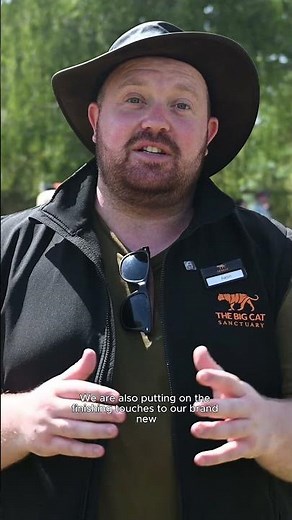 Big Cat Fest Is Back and Bigger Than Ever | Book Now