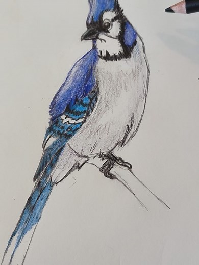 Kelly Creates Studio on Reels