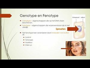 Genotype en Fenotype