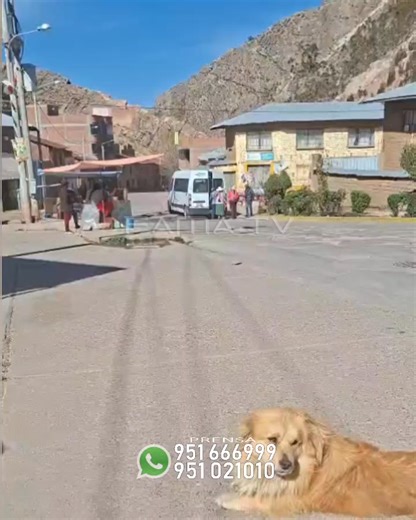 51K views · 248 reactions | #MOHO POBLADORES PIDEN VEHÍCULOS PARA LA RUTA MOHO - CONIMA TILALI. YA QUE ALGUNOS TRANSPORTISTAS LLEVAN A LOS PASAJEROS EN INTERMEDIO Y HASTA EN LA PARTE DE ATRÁS O BODEGA PONIENDO EN PELIGRO. | Noticias del Dia Puno Juliaca | Facebook