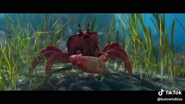 Ariel's Adventure: The Little Mermaid Movie Clips