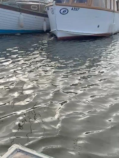 Phil Spinks on Reels