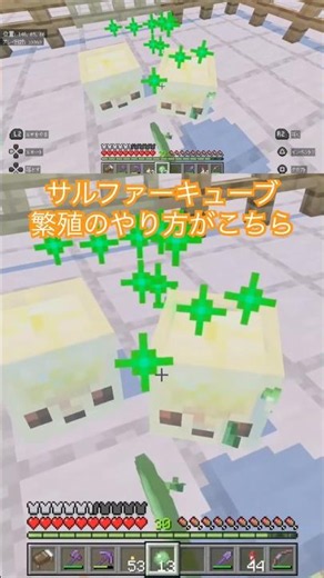 [Minecraft] How to breed Sulfur Cubes 😎 Hit them, split them, and feed them slimeballs 🤗 #Minecra...