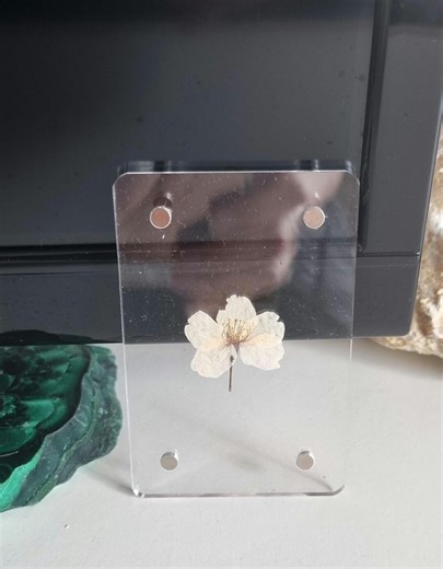 Fridge magnet with a pressed cherry bloom flower detail