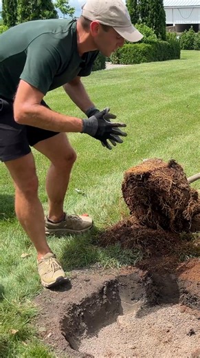 Ample watering and well-draining soil are key to a healthy start when planting new trees. 🌳 Follow along as Wyse Guide helps a black gum tree settle into its new home, using Espoma Organic Bio-tone Starter Plus to nourish both the soil and the plant. Watch the full video: https://heyor.ca/CRdN1Y | Espoma Organic