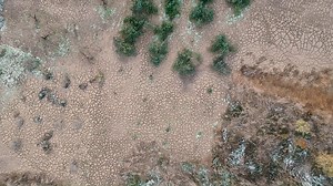 Today we are learning about the Albedo Effect for #FridaysForFuture....