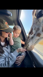 5.3K views · 323 reactions | Fun family trip to Fossil Rim! | Mike Micallef | Facebook