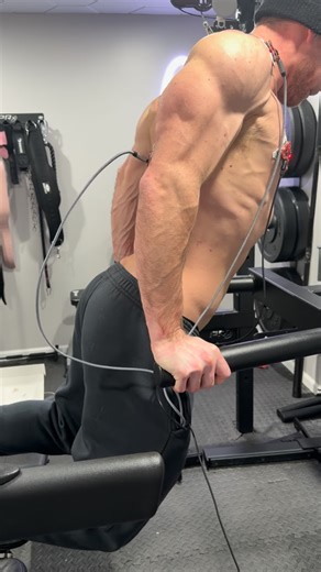 Scott Hallam on Instagram: "🧐 Do forward-leaning dips actually build the lower chest? I tested this using EMG by tracking peak activation on every rep for three muscles: • Lower pectoralis major • Triceps long head • Anterior deltoid Instead of comparing raw signal (which favors larger muscles), I normalized each muscle to its own peak activation ✍🏻 This shows how hard each muscle is working relative to its own capacity — rep after rep ✅ Results (averaged across multiple sets): • Lower pec ~ 8