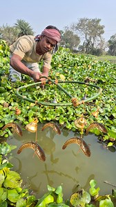 Unbelievable technique trap fishing system #fish #trap #fishing #viral #video | Fisherman Animal Lover-Original