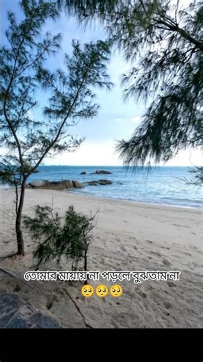 তোমার মায়ায় না পড়ল ে বুঝতাম না🥺🥺🥺#sad #miusic #tendingmusic #djremix