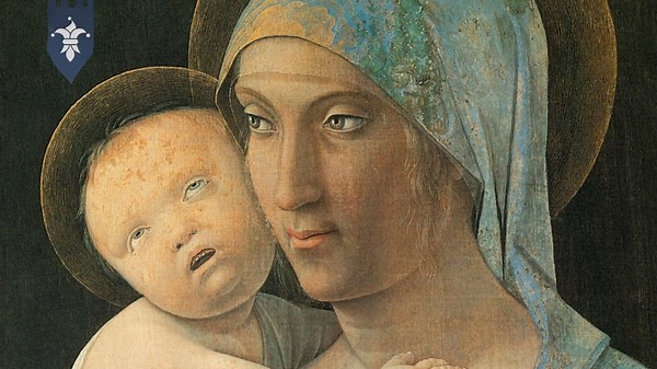 Why You Wouldn’t Survive 24 Hours in the Dark Ages