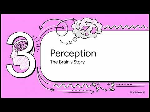 Perception Versus Observation: How the Mind Interprets Reality Before You Notice