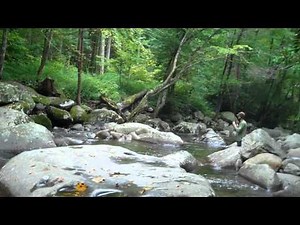 Too deep for hip waders