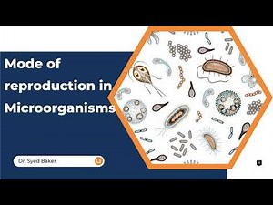 Video lecture: Mode of reproduction in Bacteria and Fungi
