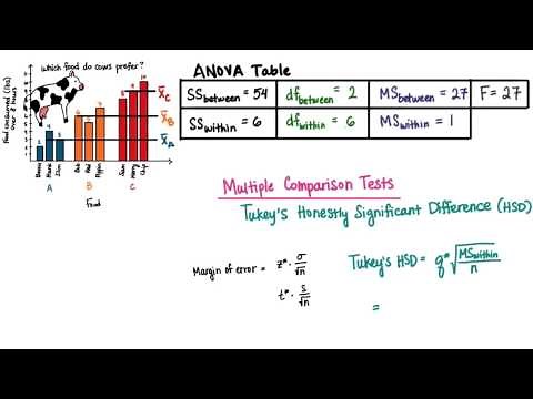Multiple Comparison Tests