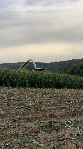 3.7K views · 8.4K reactions | Jaguar Action Pure Sound | AgrarPhoto | Facebook