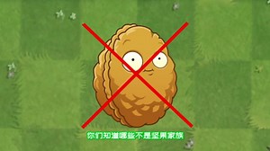 植物大战僵尸：香水坚果、旋转坚果、肌肉坚果，万物皆可坚果？