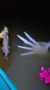 Midnight Mermaid Encounter in Australia – Absolutely Terrifying! 🌊👀 #mermaid #australia #scary | Most Amazing Top 10