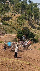 New ball master aslam narma # | Anayat Narma