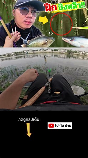 Glassfish #fishing #snakeheadfishing #giant snakeheadfishing #bottomfishing