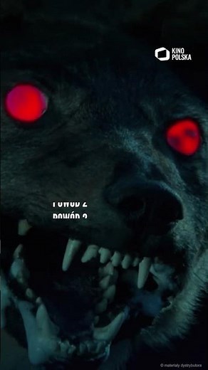 Akademia Pana Kleksa – 5 powodów, dla których film z 1983 roku wciąż rządzi!