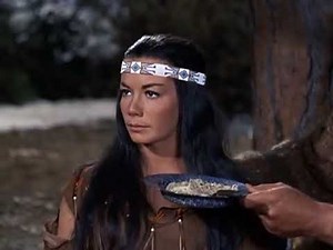 Bonanza - La Ultima Caceria