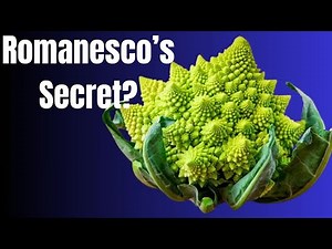 Nature's Most Mind-Blowing Vegetable! What is Romanesco?