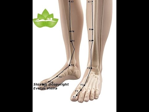 Shiatsu - meridiano del Fegato con esercizi Yoga. by Evelyn Vieira