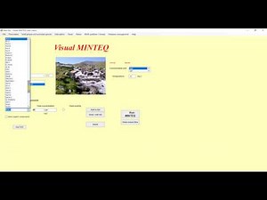 Minteq adsorption model: How to implement one