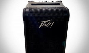 The Peavey MAX 208 Review, Made for Performing Bassists