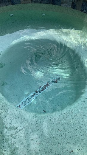 Pool Drain Vortex and Suction: Exploring Pool Draining Techniques