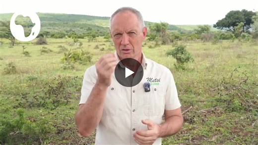 Conservation is more than protecting biodiversity. Protected areas are living landscapes, shaped by the people who live there, and community-based conservation is key to successful outcomes. To dig… | IUCN-PAPACO (Programme on African Protected Areas and Conservation)