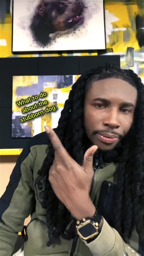 Your dog isn’t stubborn — they’re unclear. Inconsistent commands create hesitation. Inconsistent tone creates confusion. Inconsistent expectations create chaos. Clarity builds confidence. Confidence builds obedience. Say what you mean. Mean what you say. Follow through. Train the message — not the emotion. 💬 Comment “CLARITY” if this hit home 📌 Save this for your training sessions 🔁 Share with a dog owner who needs this Follow @K9Legend for daily real-life dog training that actually works. #D