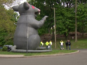 NEWS AT 10: Teamsters in Greenwich protested outside of a public meeting saying they are frustrated with how contract negotiations are going with the town. | News 12 Connecticut