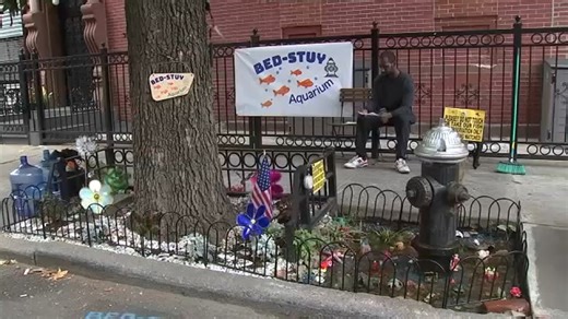 Brooklyn Fish Aquarium: Pond in Bed-Stuy thriving after vandalism brought community together