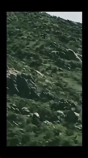 Imagine standing on a breathtaking Peruvian mountainside, where a mysterious figure looms. Although he thinks it was a giant because of its size, could it in fact be a Sasquatch? You be the judge. Bigfooting minds want to know? 🤔👣 #boisebigfoot #cryptidclan #foryouシ #bigfoot | Boise Bigfoot